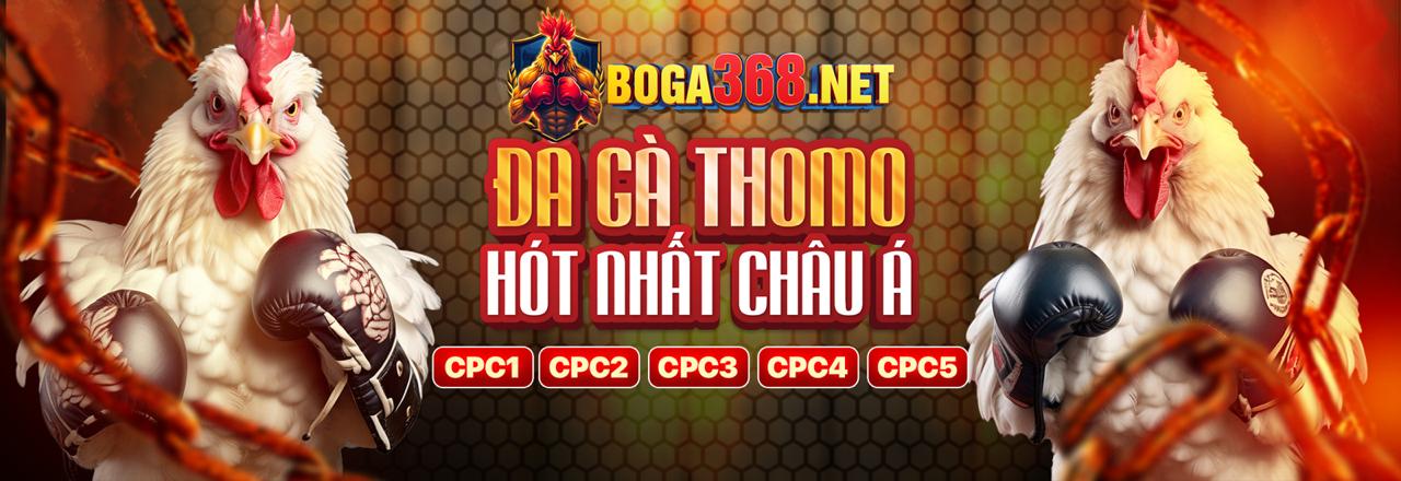 Hình ảnh một trận đá gà trực tuyến sôi động tại H88, với các chiến kê mạnh mẽ và khán giả cuồng nhiệt.