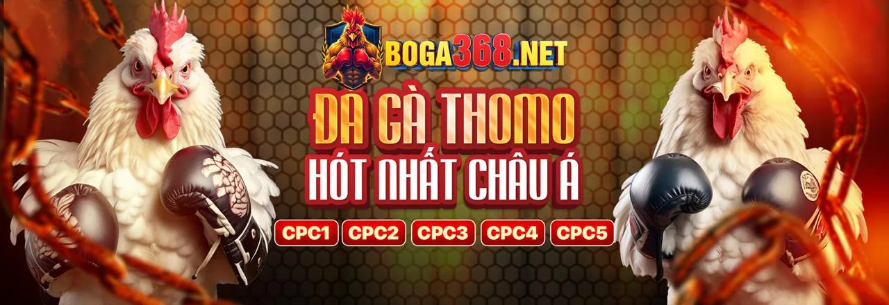 Hình ảnh một trận đá gà trực tuyến sôi động tại H88, với các chiến kê mạnh mẽ và khán giả cuồng nhiệt.
