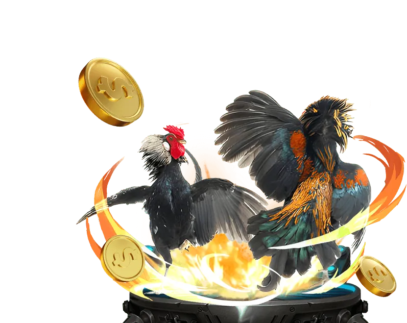 Chiến lược quản lý vốn khi cá cược đá gà